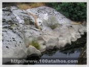 Click na foto para ampliar!