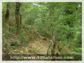 Click na foto para ampliar!