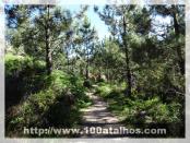 Click na foto para ampliar!