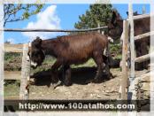 Click na foto para ampliar!