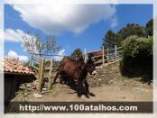 Click na foto para ampliar!