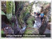 Click na foto para ampliar!