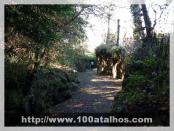 Click na foto para ampliar!