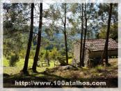 Click na foto para ampliar!