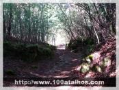 Click na foto para ampliar!