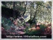 Click na foto para ampliar!