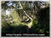 Click na foto para ampliar!