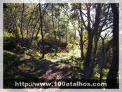 Click na foto para ampliar!