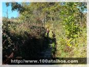 Click na foto para ampliar!