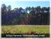 Click na foto para ampliar!