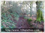 Click na foto para ampliar!