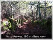 Click na foto para ampliar!