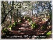 Click na foto para ampliar!