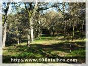 Click na foto para ampliar!