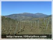 Click na foto para ampliar!