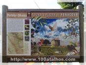 Click na foto para ampliar!