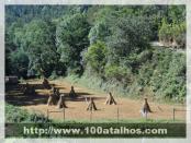 Click na foto para ampliar!