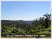 Click na foto para ampliar!