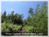 Click na foto para ampliar!