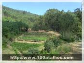 Click na foto para ampliar!