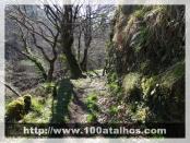 Click na foto para ampliar!