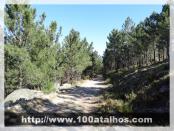 Click na foto para ampliar!