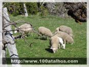 Click na foto para ampliar!