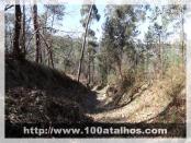 Click na foto para ampliar!