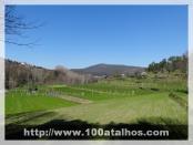 Click na foto para ampliar!