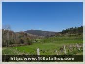 Click na foto para ampliar!