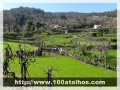 Click na foto para ampliar!