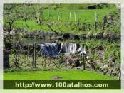 Click na foto para ampliar!