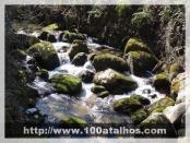 Click na foto para ampliar!