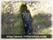 Click na foto para ampliar!