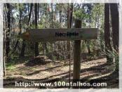 Click na foto para ampliar!