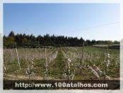 Click na foto para ampliar!