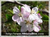 Click na foto para ampliar!