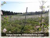 Click na foto para ampliar!