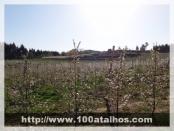 Click na foto para ampliar!