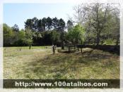 Click na foto para ampliar!