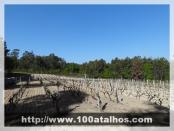 Click na foto para ampliar!