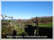 Click na foto para ampliar!