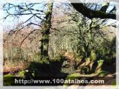 Click na foto para ampliar!