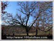 Click na foto para ampliar!