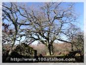 Click na foto para ampliar!