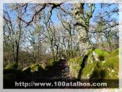 Click na foto para ampliar!