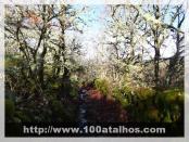 Click na foto para ampliar!