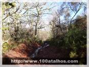 Click na foto para ampliar!