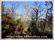 Click na foto para ampliar!