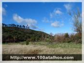 Click na foto para ampliar!